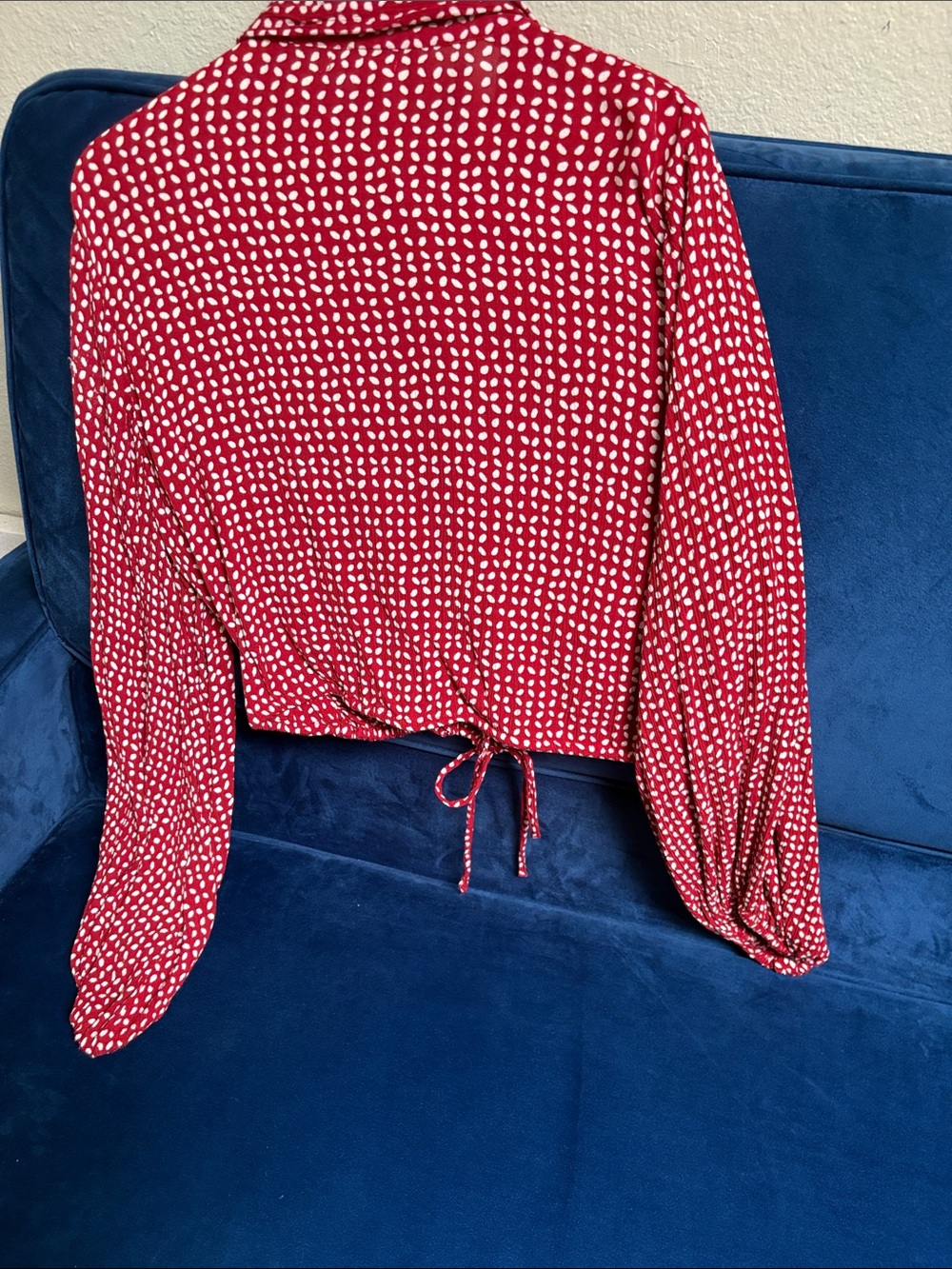 Amuse Society Red and White Dot Tie-Front Button Down Blouse - Picture 5 of 5